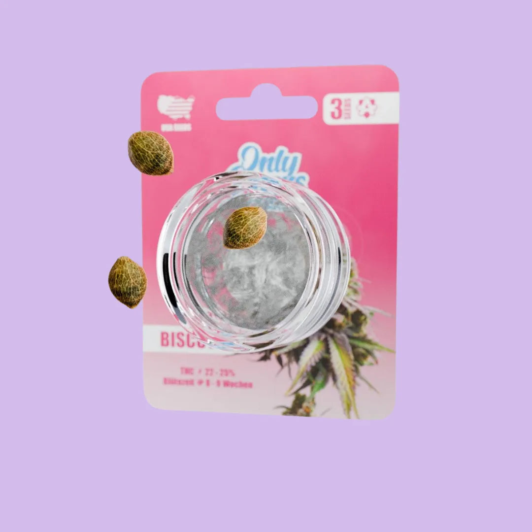 OnlyGrams - Biscotti - THC Samen