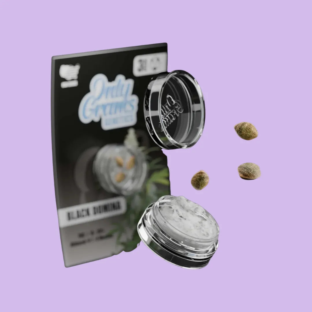 OnlyGrams - Black Domina - THC Samen