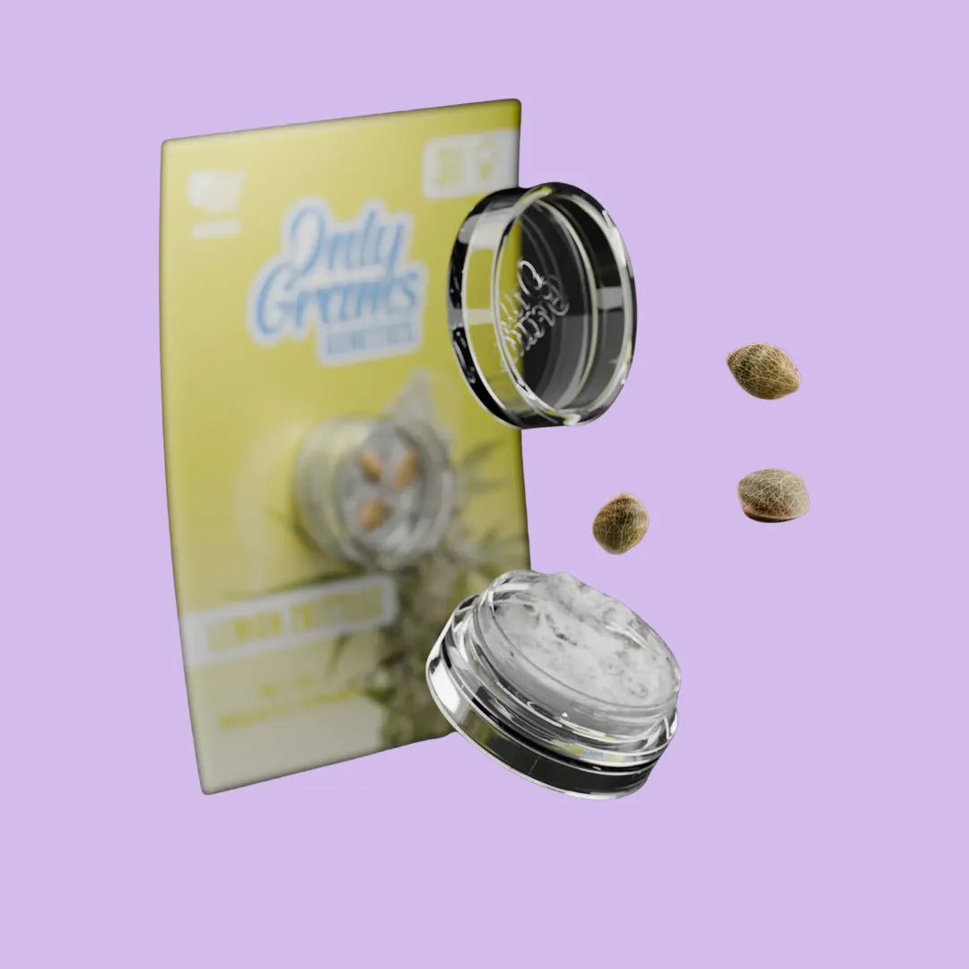 OnlyGrams - Lemon Zkittlez - THC Samen