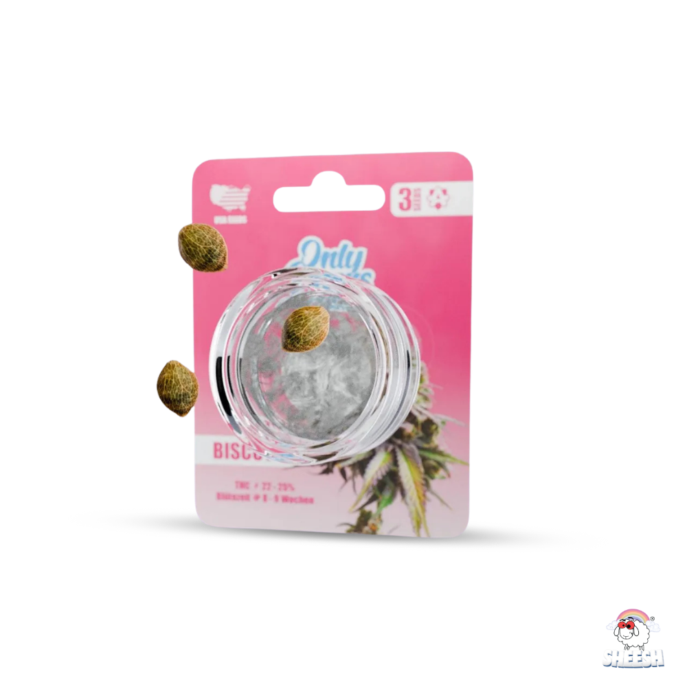 OnlyGrams - Biscotti - THC Samen