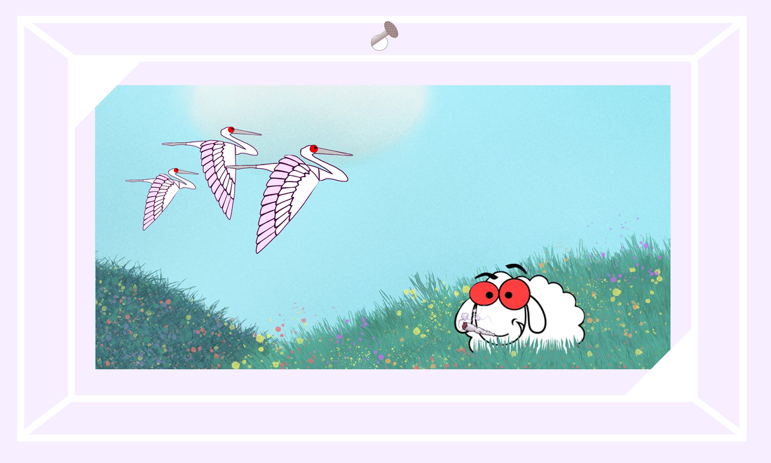 CBD Wirkung durch unsere Aromablüten bubatzlegal24