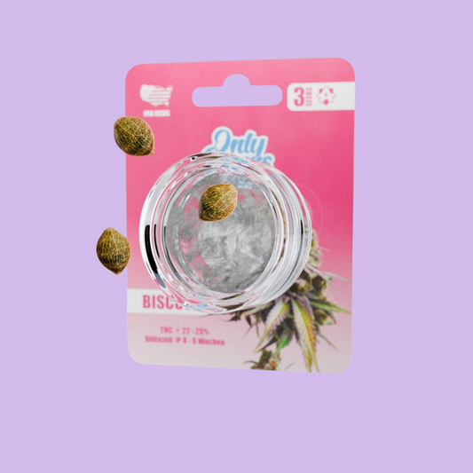 OnlyGrams - Biscotti - THC Samen - feelsheesh