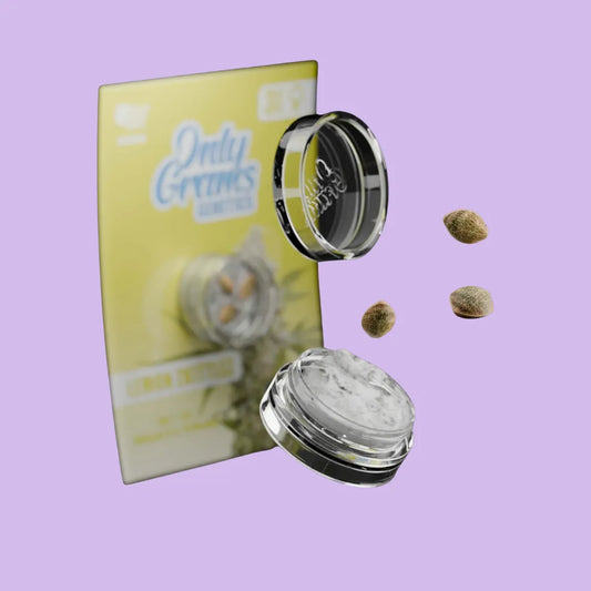 OnlyGrams - Lemon Zkittlez - THC Samen
