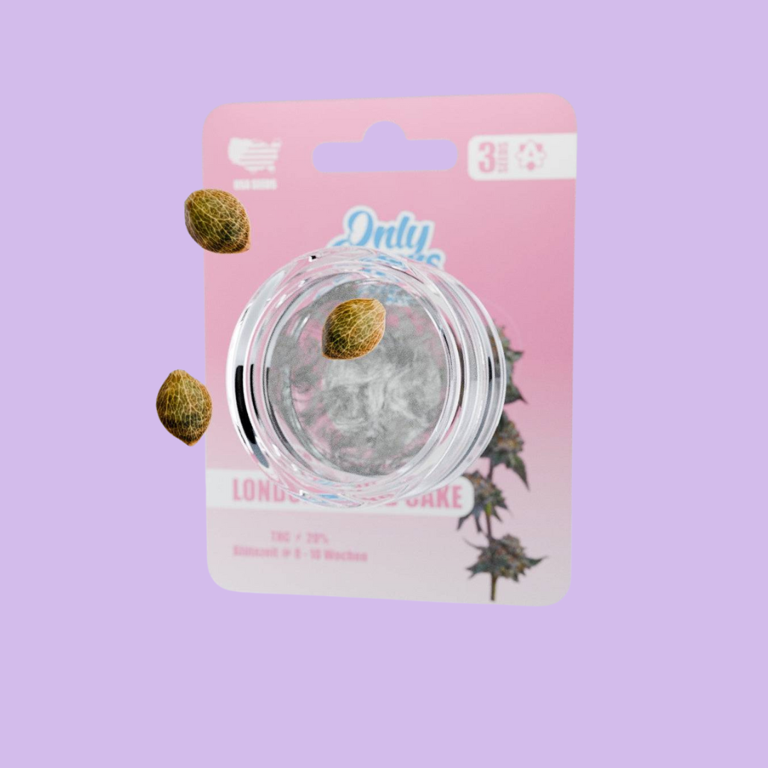 OnlyGrams - London Pound Cake - THC Samen - feelsheesh