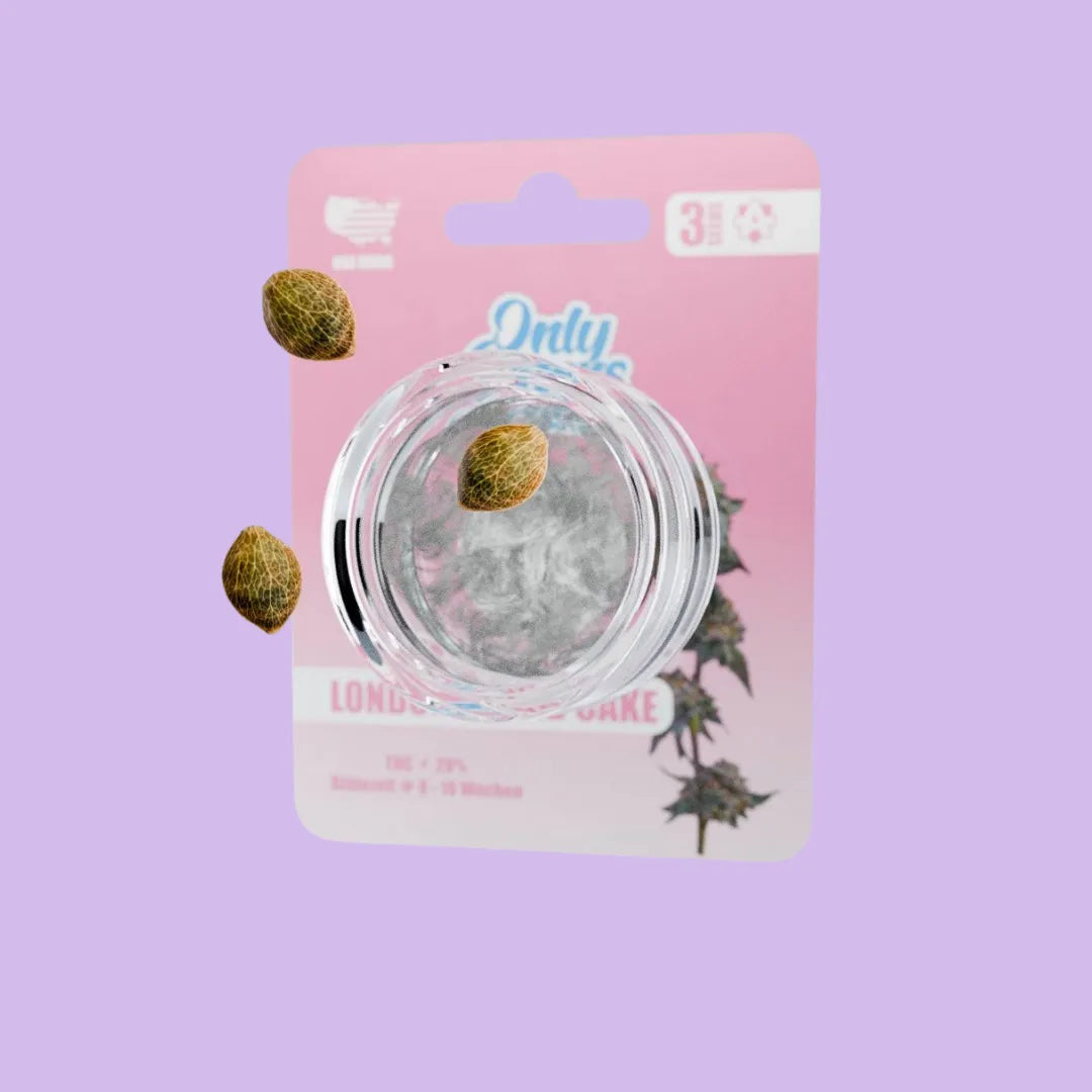 OnlyGrams - London Pound Cake - THC Samen