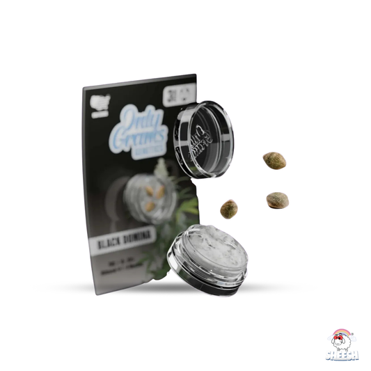 OnlyGrams - Black Domina - THC Samen