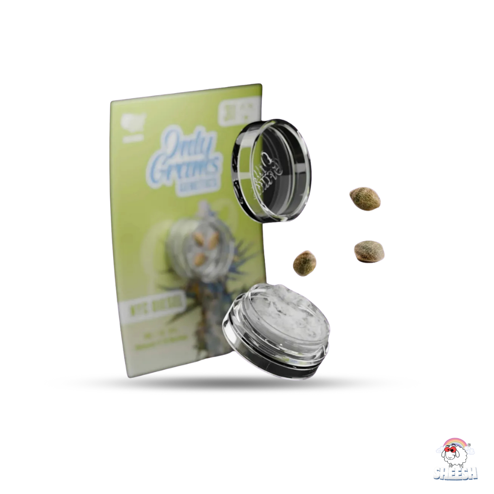 OnlyGrams - NYC Diesel - THC Samen