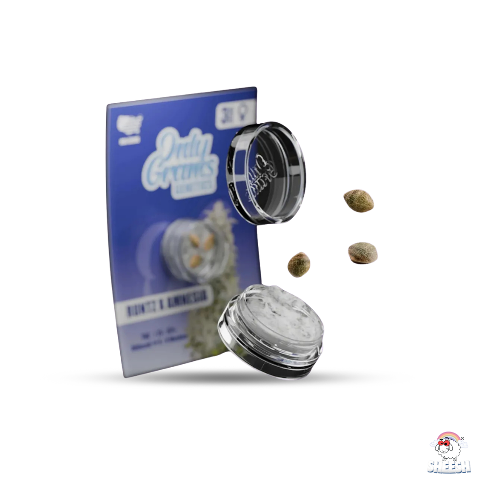 OnlyGrams - Runtz x Amnesia - THC Samen